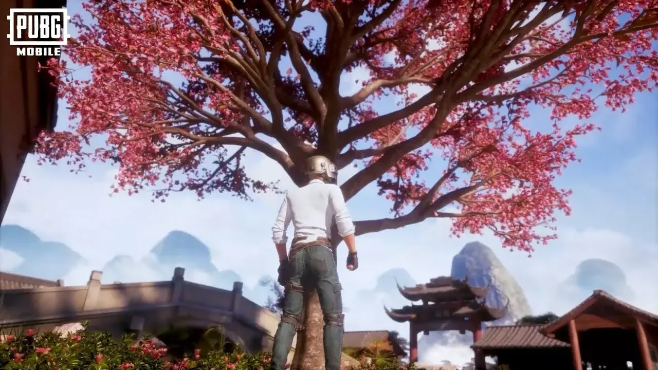 Ntn0ev9x5h2rigjiklac