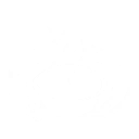 Skill to Where Light Shines