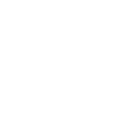 Skill Critical Protocol