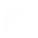 Skill Immediate Execution