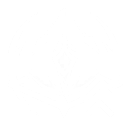 Sequence Node Day or Night%2 C Let This Be Eternal