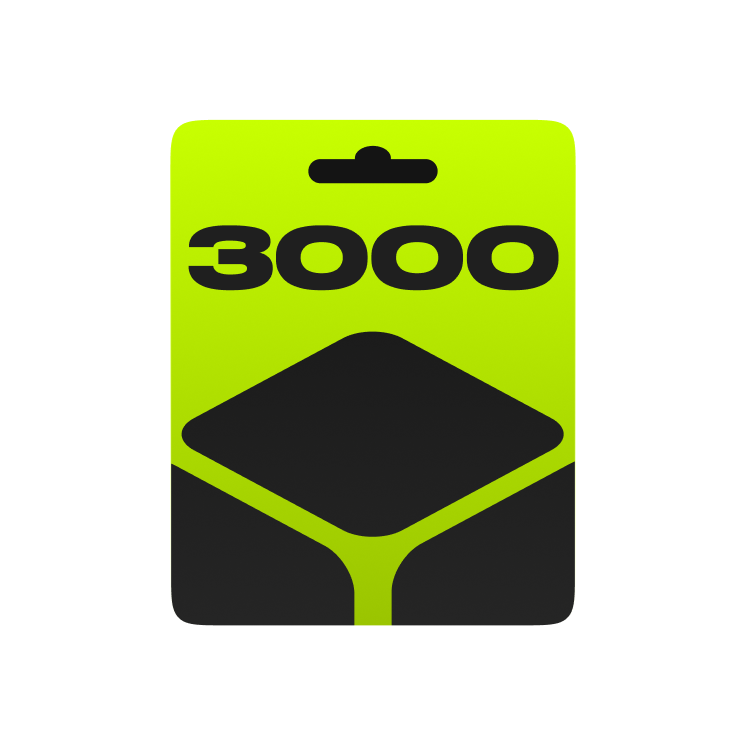 3000