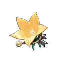 Инструктор