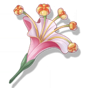 Item Firecracker Jewelweed
