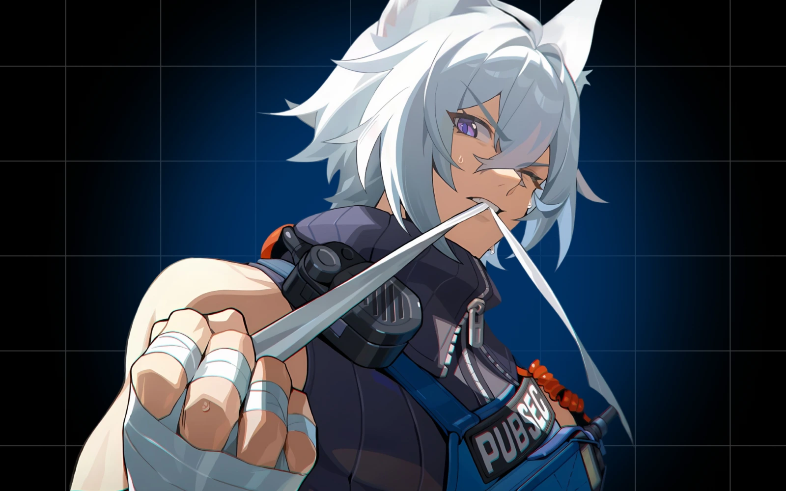 Сет в ZZZ: подробный гайд по прокачке и геймплею. Все еще актуален?