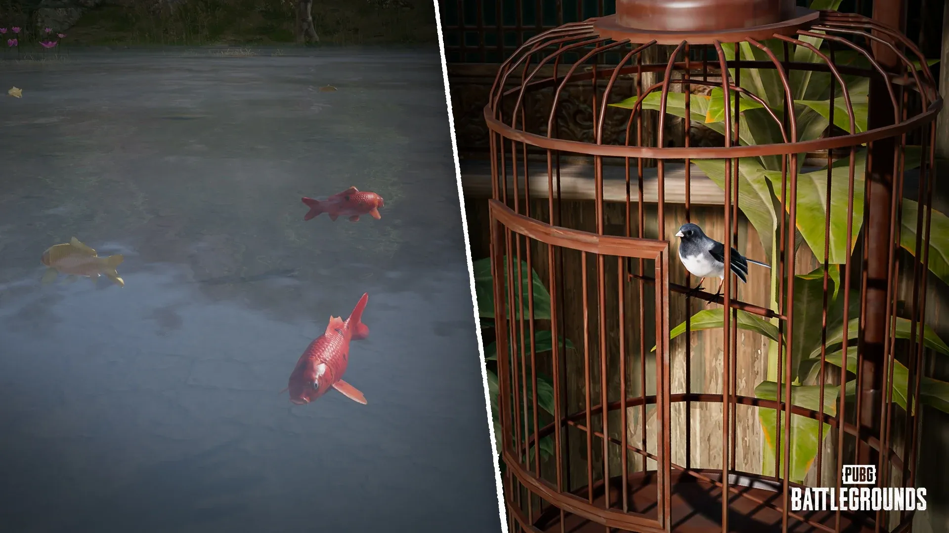 Bqiocbuidiyf84cc1xbz