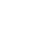 Skill Lynae Style Palettes