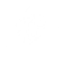 Skill Prismatic Overblast