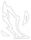 Image40