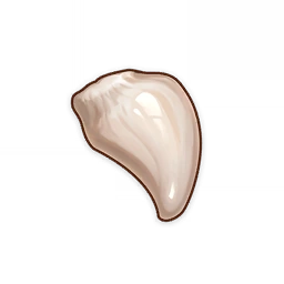 Image48