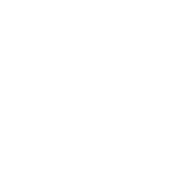 Lockdown