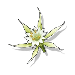 Item Blade Blossom