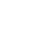 Image11