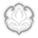 Image4 (1)