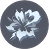 Image21