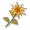 Item Luminous Calendula